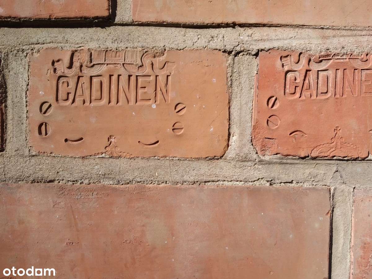 Na sprzedaż cegielnia Kadyny-12