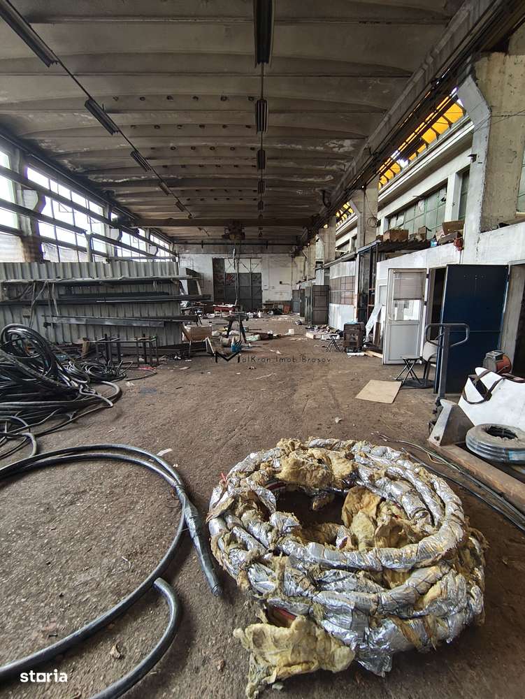 Hala industriala 420mp si Platforma betonata de inchiriat 10000mp - Imagine principală: 1/3
