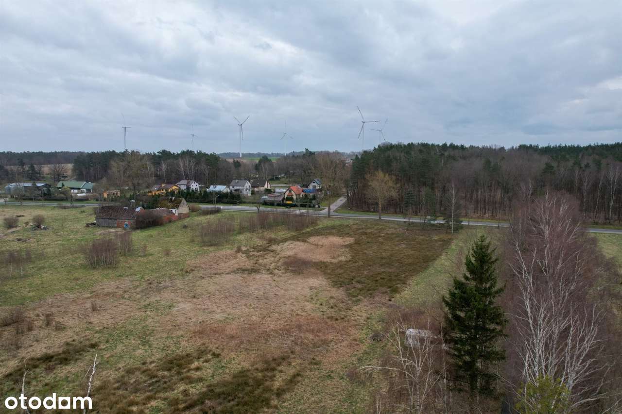 Lubuczewo, działki - Pełny obrazek: 5/5