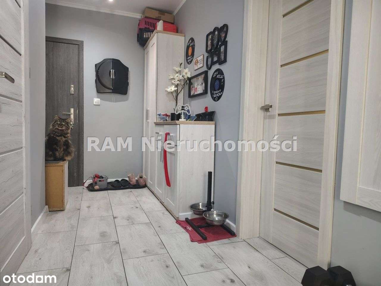 Mieszkanie, 62 m², Głogów-12