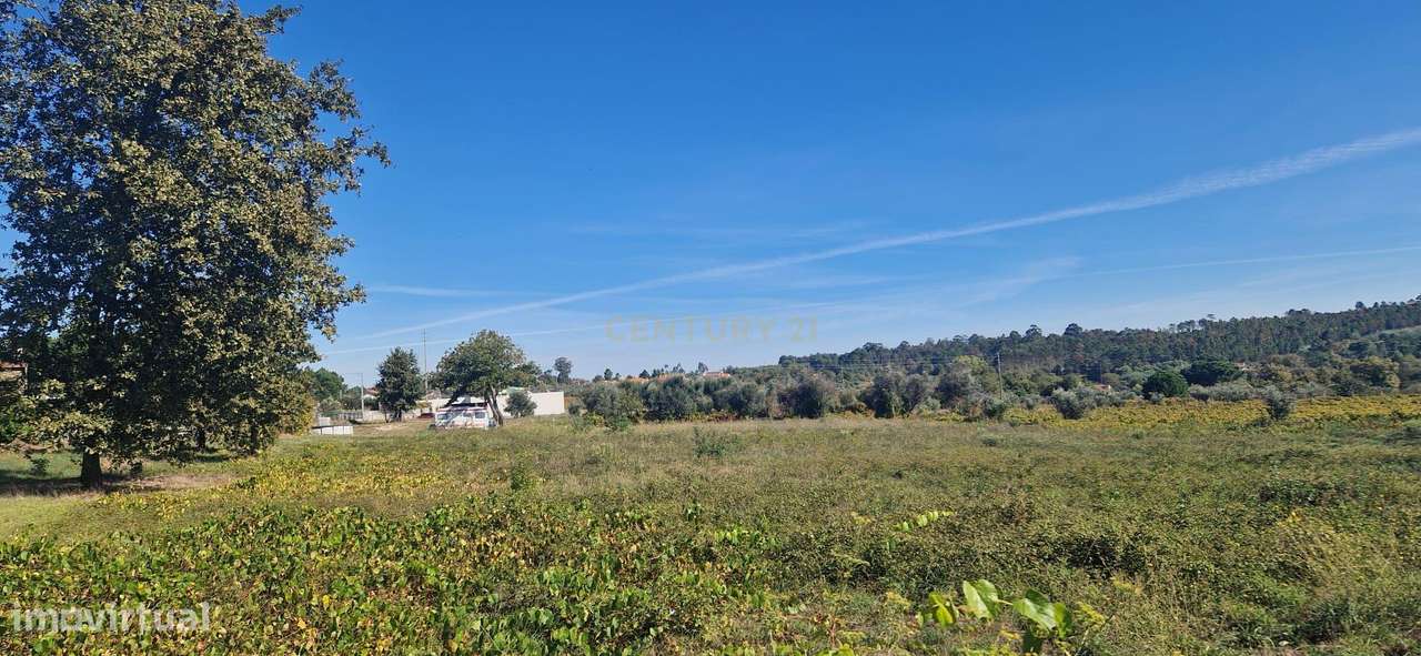 Terreno para construção em Viseu-0