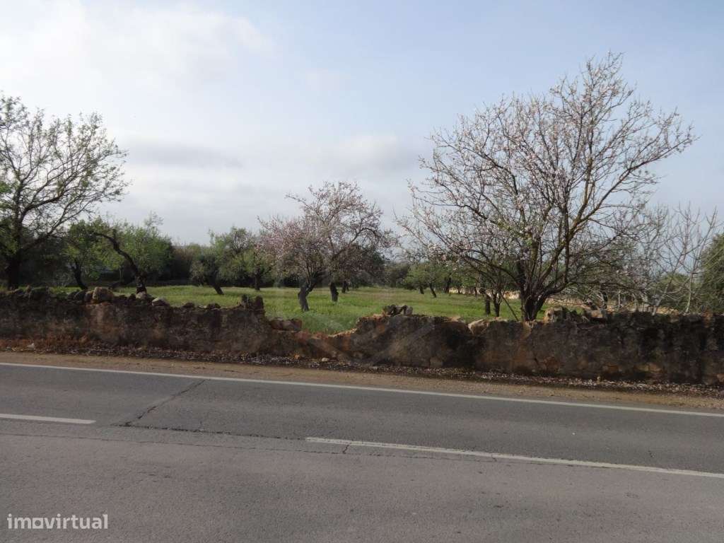 Terreno urbano com viabilidade de construção, Estoi, Faro, Algarve - Grande imagem: 4/12