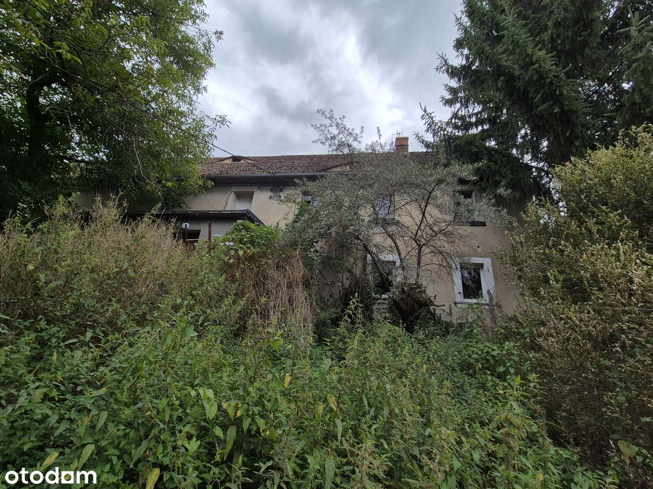 Sprzedam gospodarstwo rolne-17