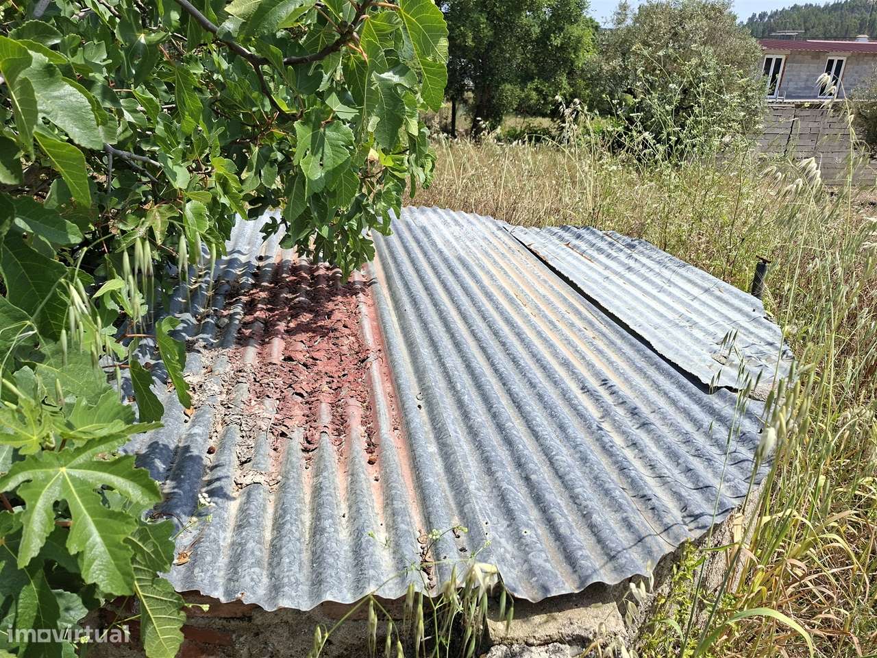 Propriedade Única com 2 Casas para Recuperação e Terreno de 2,6 Hectar-8