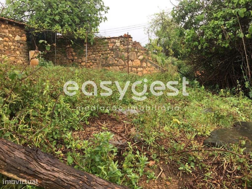 Moradia Rústica por Recuperar na Aldeia de Secarias, Arganil - Grande imagem: 4/27