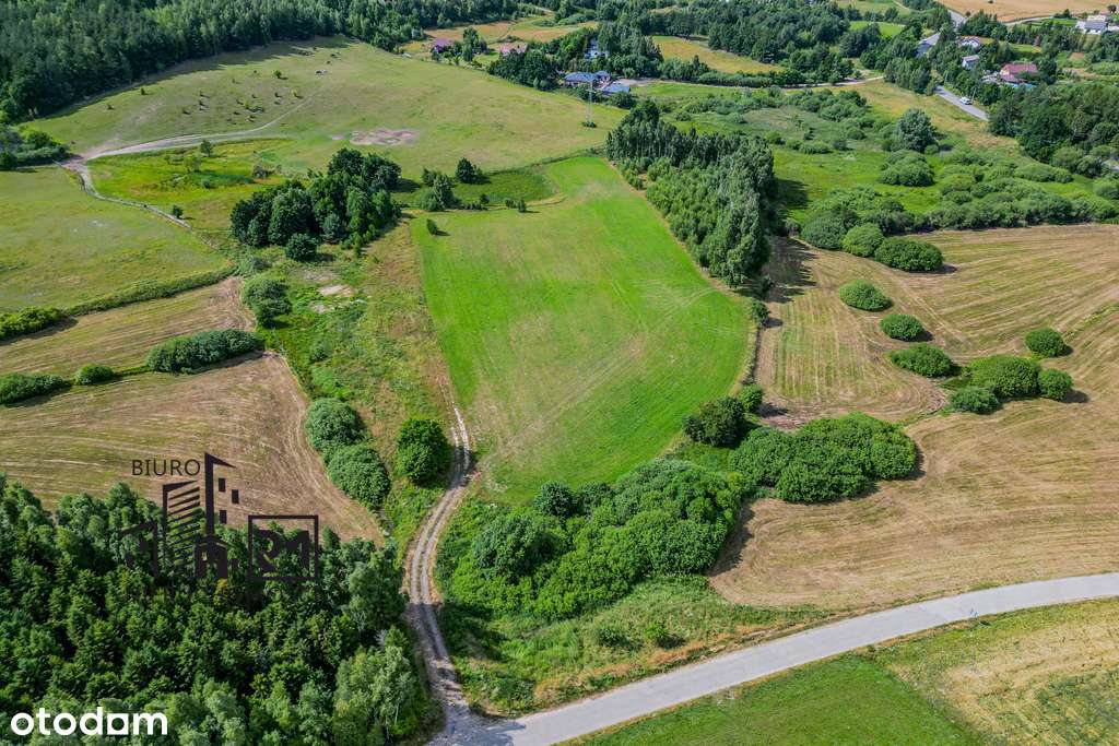 Działka inwestycyjna o pow. 2,8 ha - Pełny obrazek: 4/12