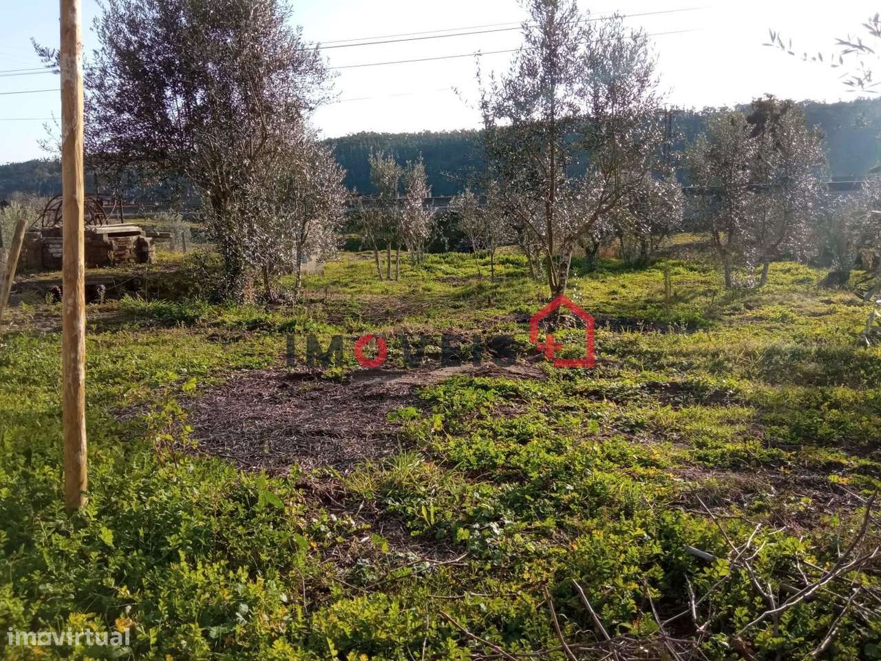 Terreno para construção, Caxarias. - Grande imagem: 2/3
