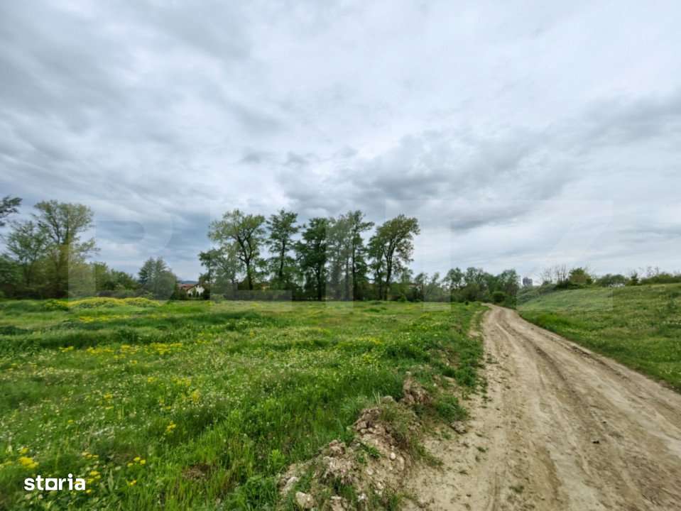 Teren intravilan 6010 mp, zona Sebes - Imagine principală: 4/6