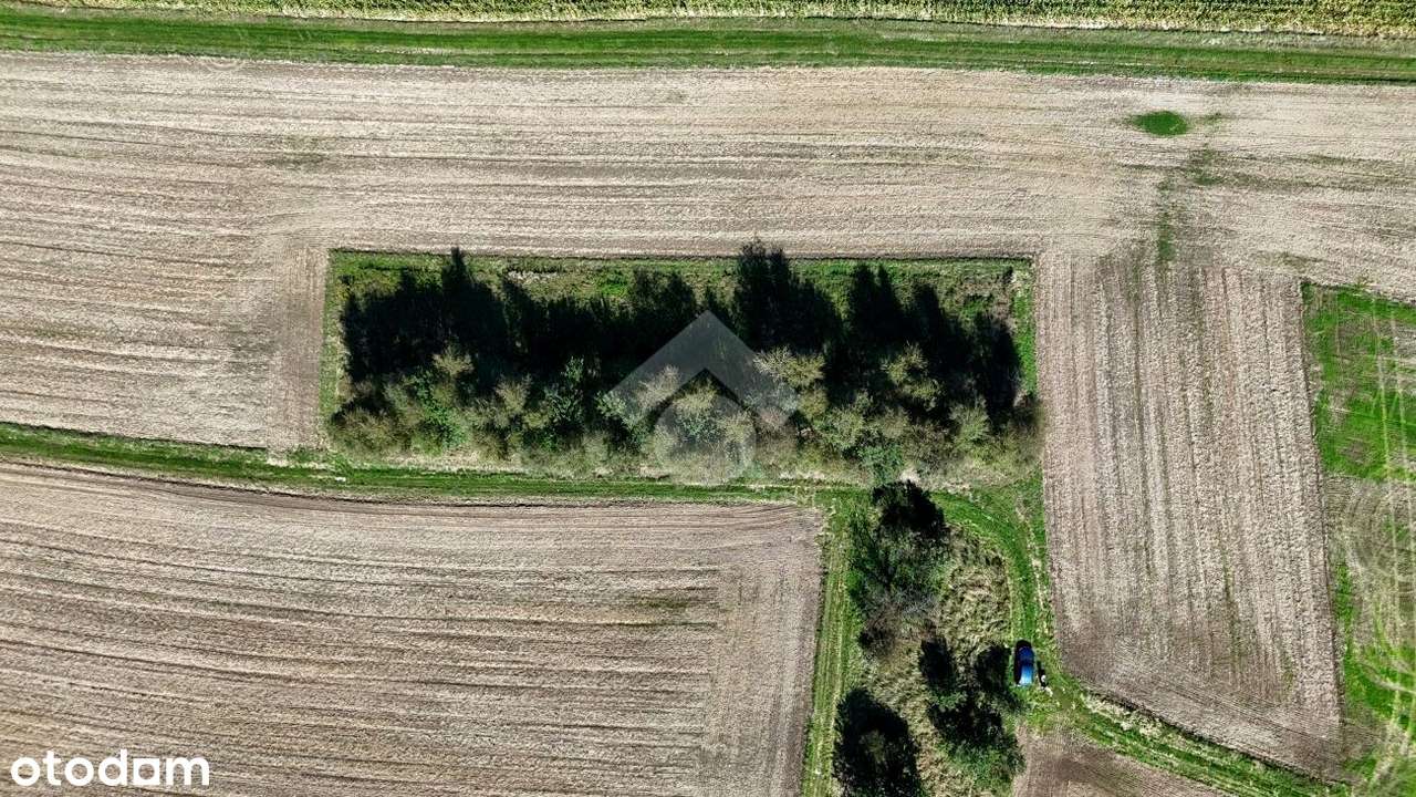 Gmina Czernichów, Rybna – 17 ar – działka rolna - Pełny obrazek: 4/6