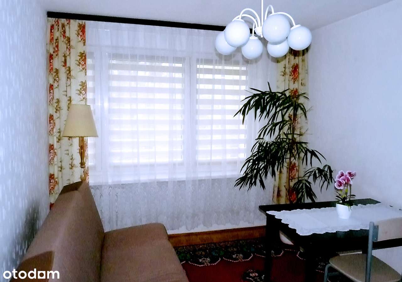 4-pokojowe mieszkanie Os. Zwycięstwa - bezpośrednio, bez prowizji - Pełny obrazek: 4/13