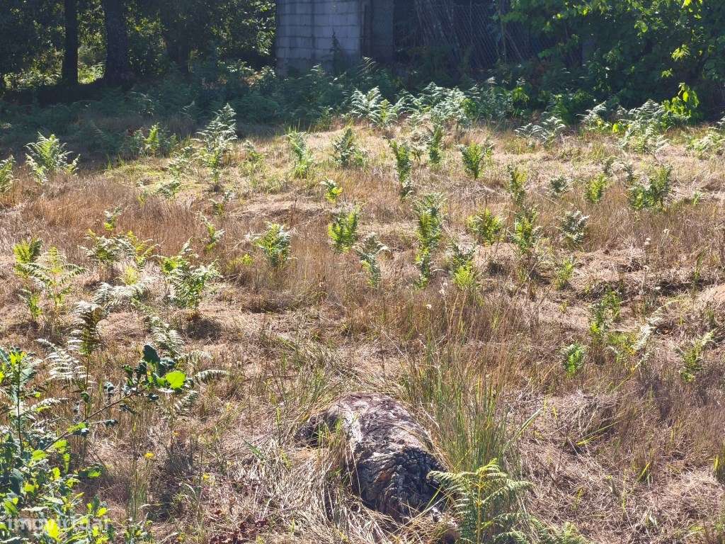 Prédio rústico em zona de construção-10