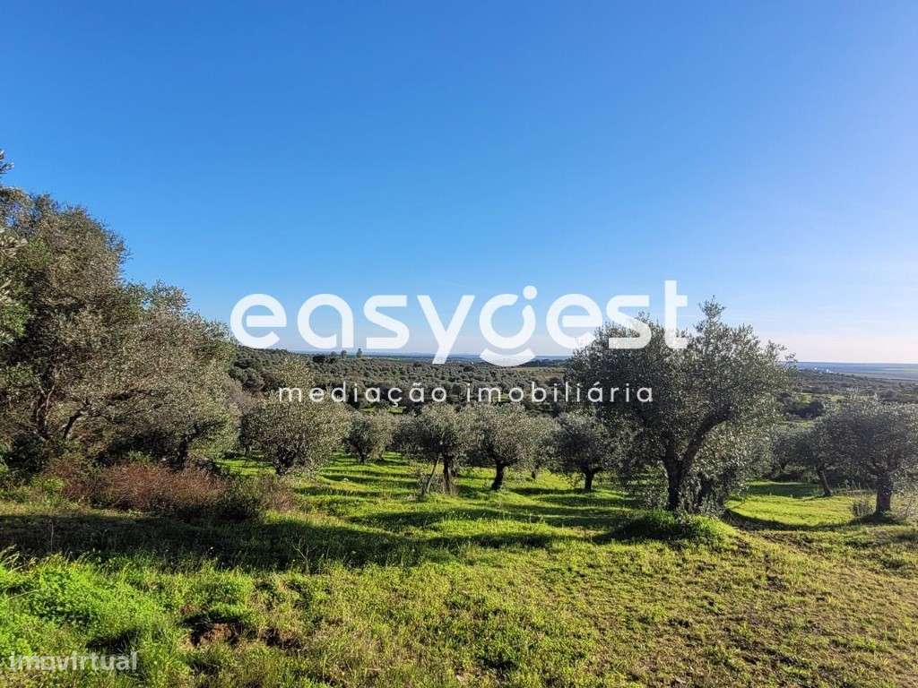 Terreno Rústico com 40.500 m2 localizado na freguesia de Selmes - Grande imagem: 3/18