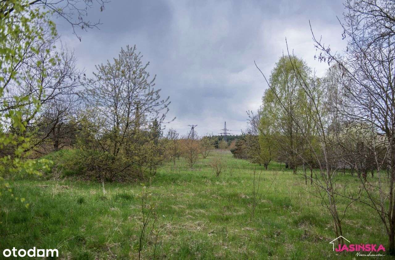 Nieruchomość gruntowa zabudowana-tylko 63 zł/m2 całość teren budowlany-2