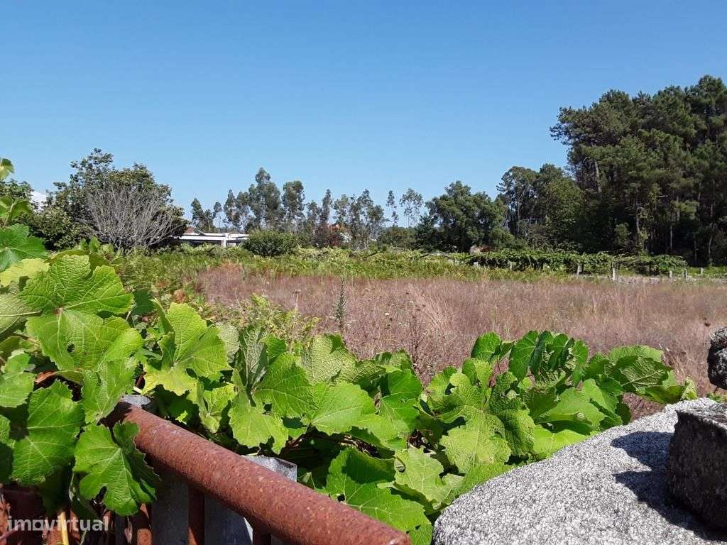 Grande Terreno para Construção - Forjães - Grande imagem: 4/7