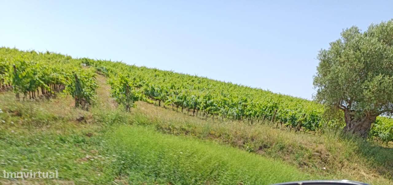 Espaçosa Moradia para Recuperação em Estremoz-15