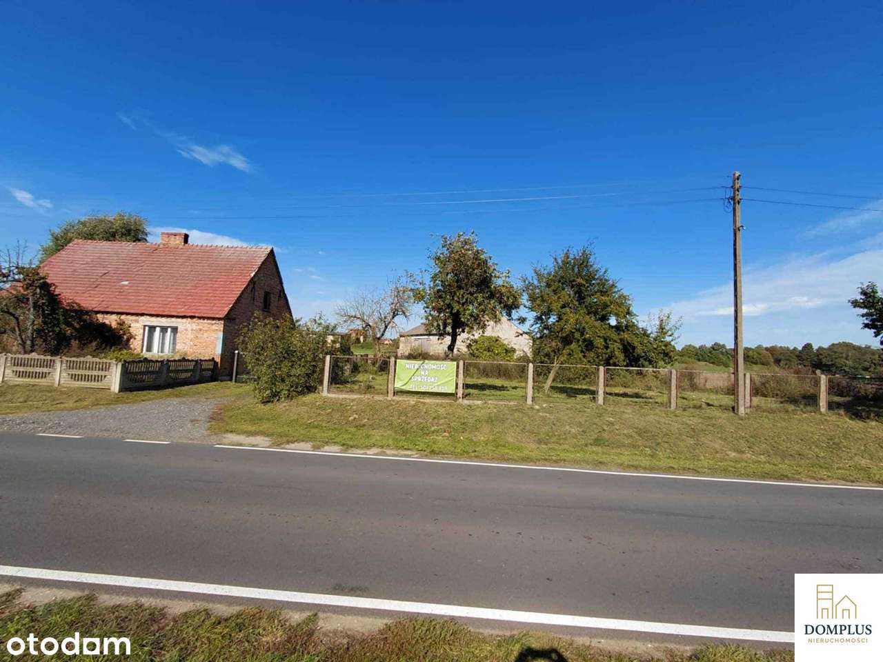 Urokliwe siedlisko w Ryżynie, gm. Chrzypsko Wielkie. - Pełny obrazek: 4/15