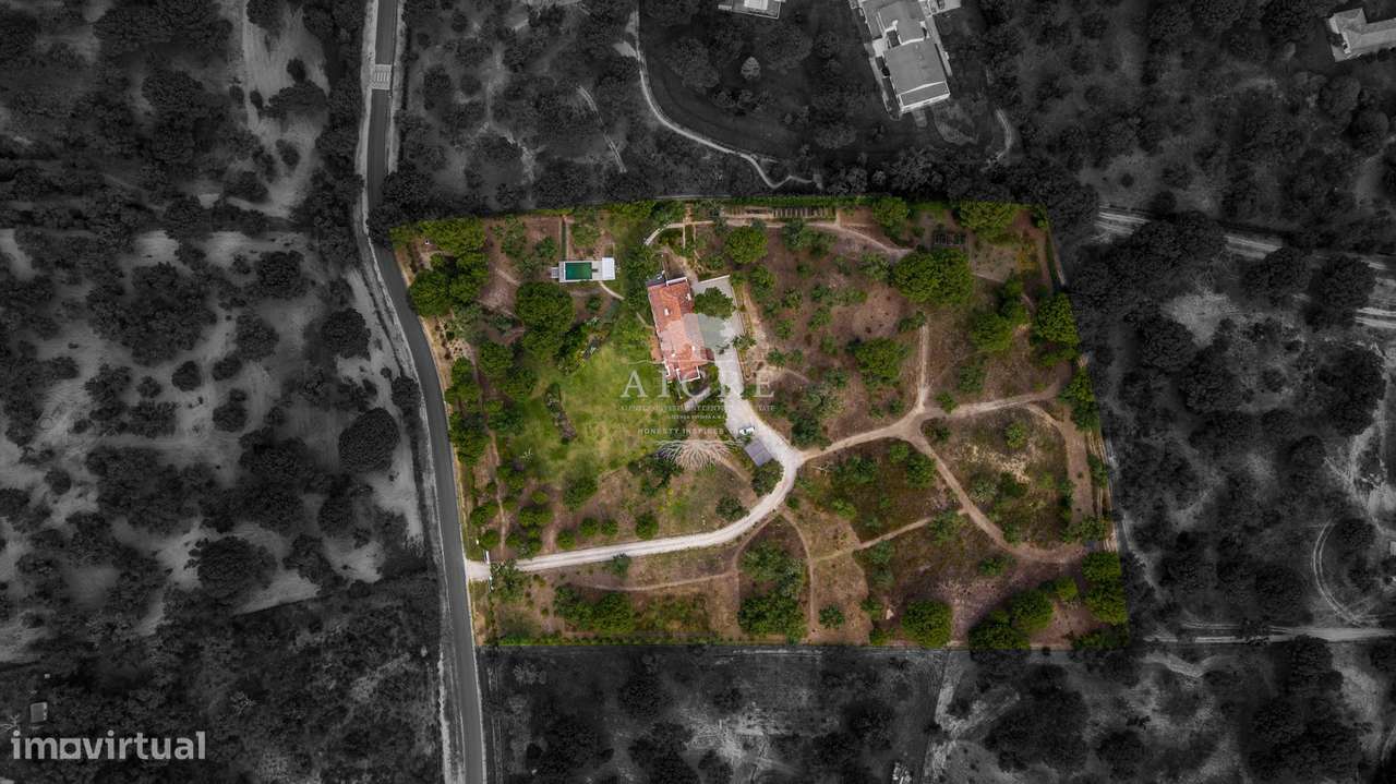 Quinta em Santo Estevão – Charme Alentejano com Piscina e Amplo Terren - Grande imagem: 5/60