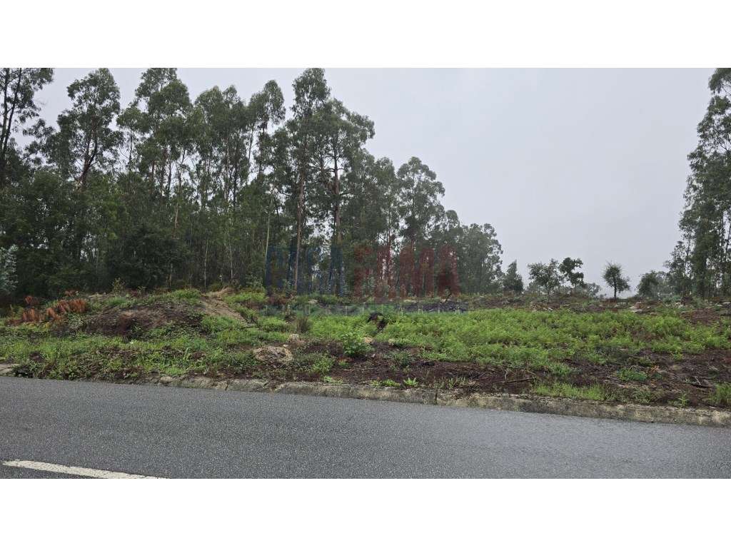 Oportunidade de Investimento: Projeto em curso para 36 Apartamentos...-16