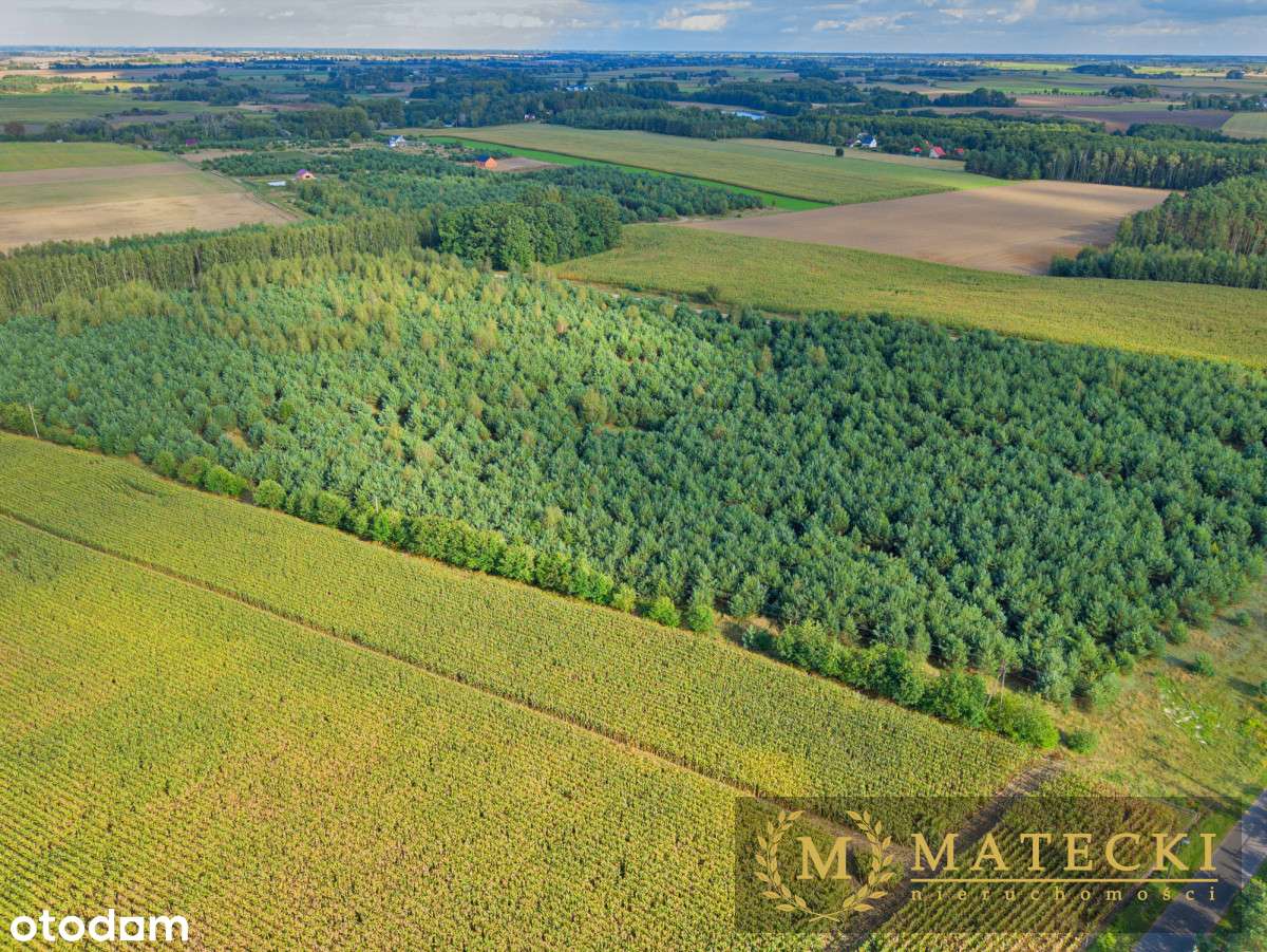 Wyjątkowa, duża działka z drzewami-16