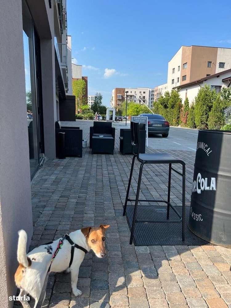 Spatiu de inchiriat Targoviste| 60mp front| Complex rezidential* - Imagine principală: 2/6