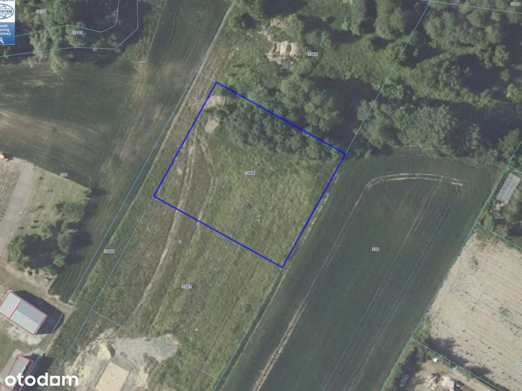 Miejscowość - Dobra. Działka wsród zieleni-8