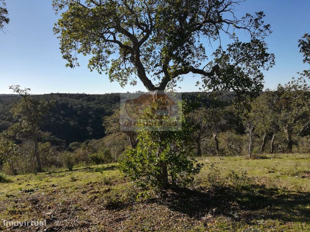 Hotel Rural: PRONTO A CONSTRUIR com todos os projectos aprovados-14