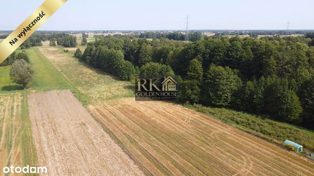 Duża działka rolna na sprzedaż z możliwością budowy domu-10