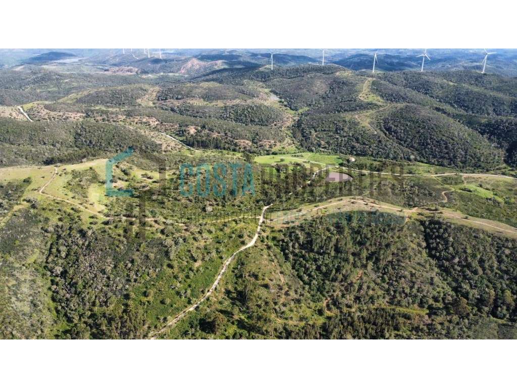 Terreno Rústico de 43.500 m² entre Aljezur e Monchique - Natureza e... - Grande imagem: 5/43