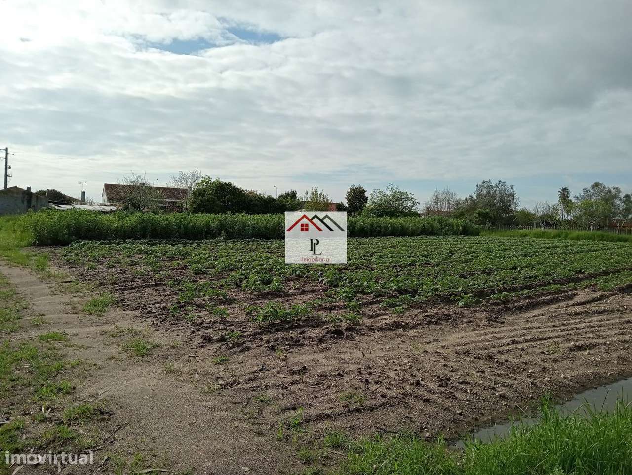 Moradia Térrea T1+1 para reconstrução no Meco em Montemor -o Velho-34