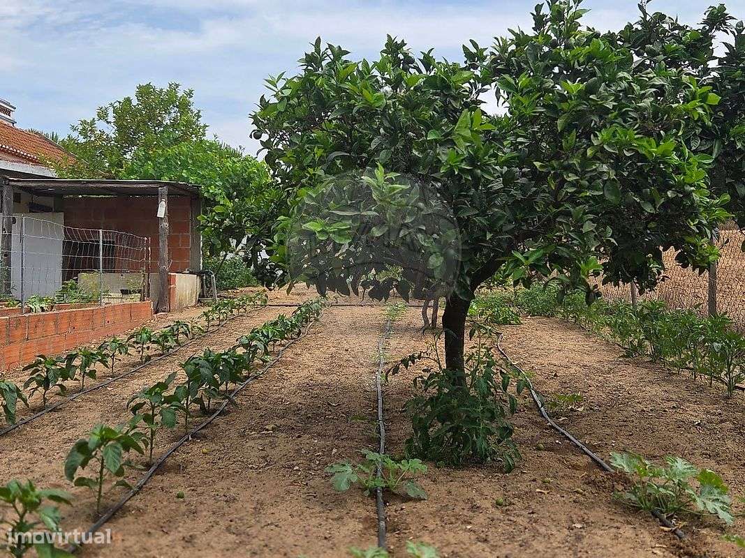 Quinta T3 para venda-33