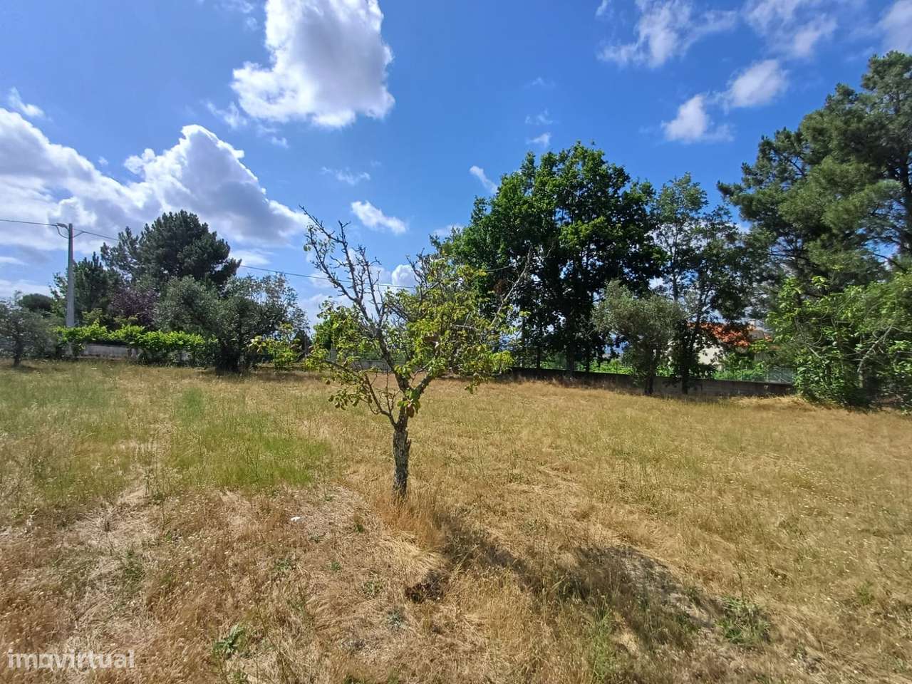 Terreno  Venda em Figueiró da Serra e Freixo da Serra,Gouveia - Grande imagem: 3/7