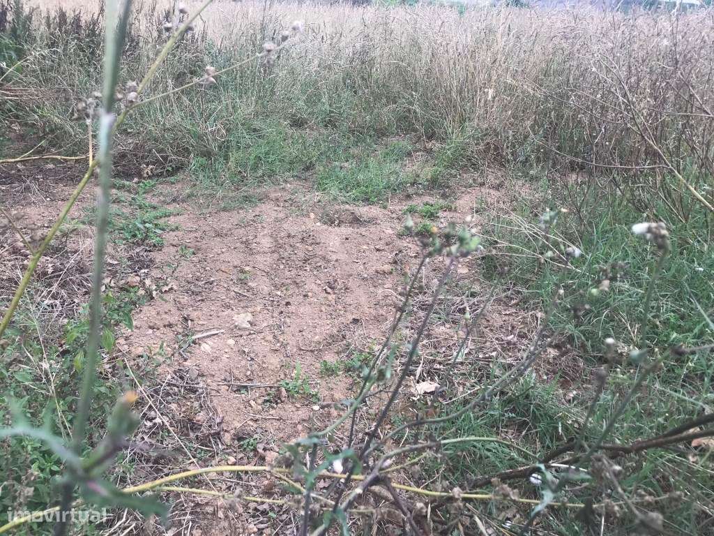 Terreno para construção de Moradia - Estarreja - Salreu - Grande imagem: 5/6