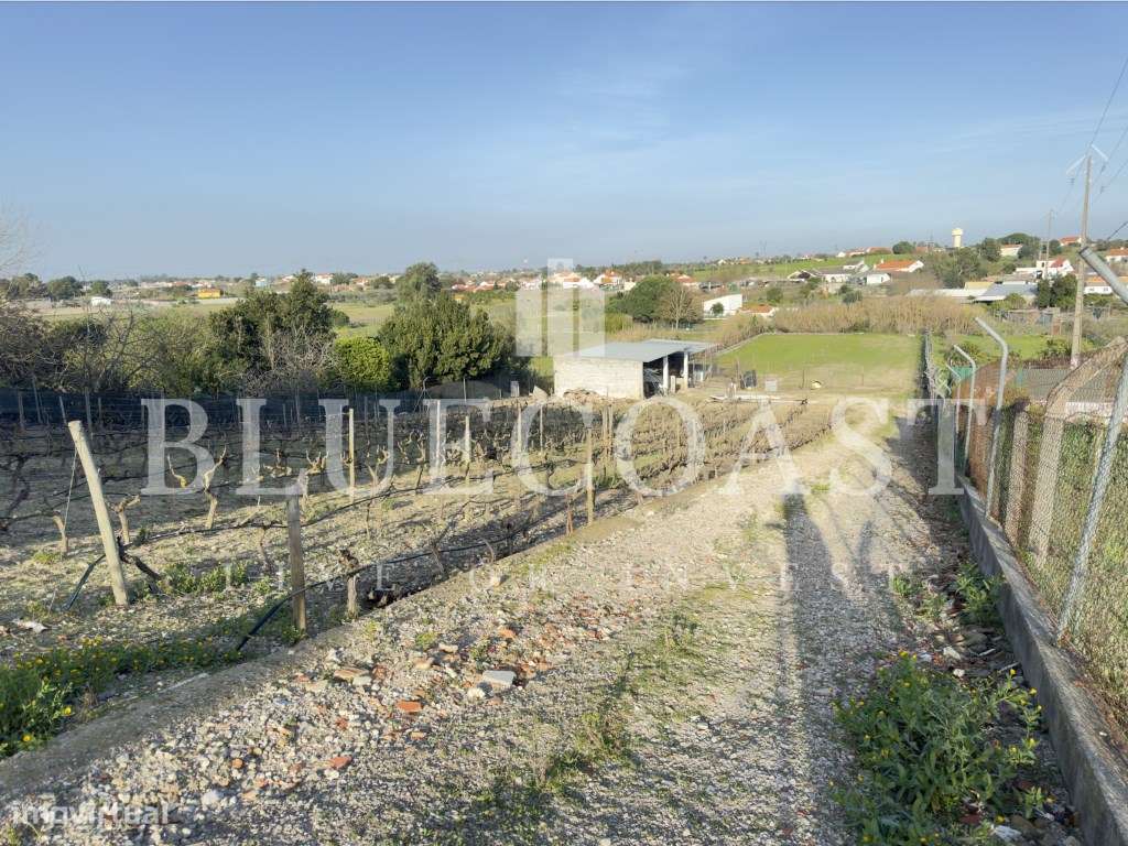 Fantástica Moradia V5 nos arredores de Setúbal - Qualidade de vida ...-48