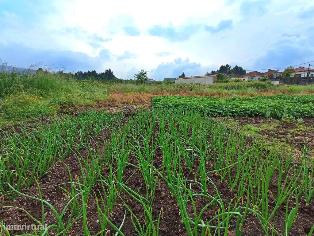 Terreno para 18 moradias em Sobrado - Grande imagem: 5/7