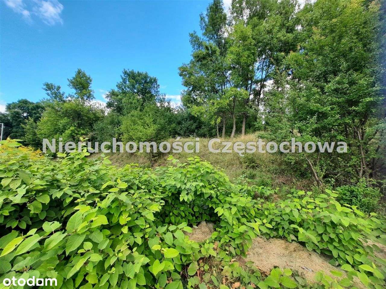 Działka, 25 998 m², Częstochowa - Pełny obrazek: 3/3