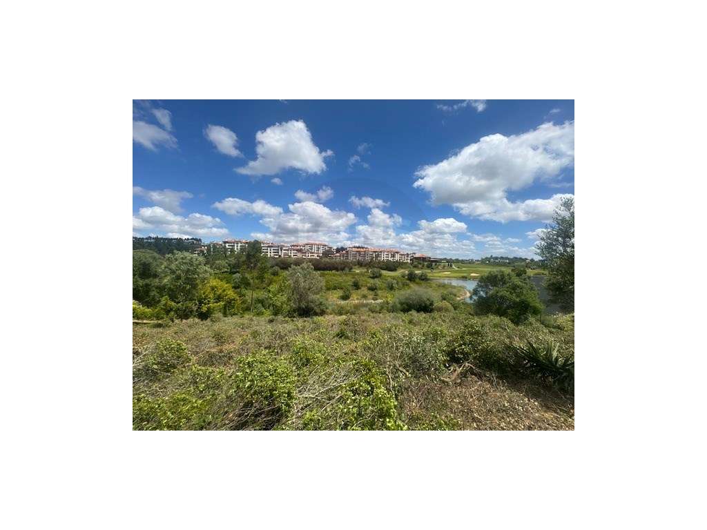 Terreno Urbano no belas Clube Campo com 2 projetos aprovados - Grande imagem: 5/24