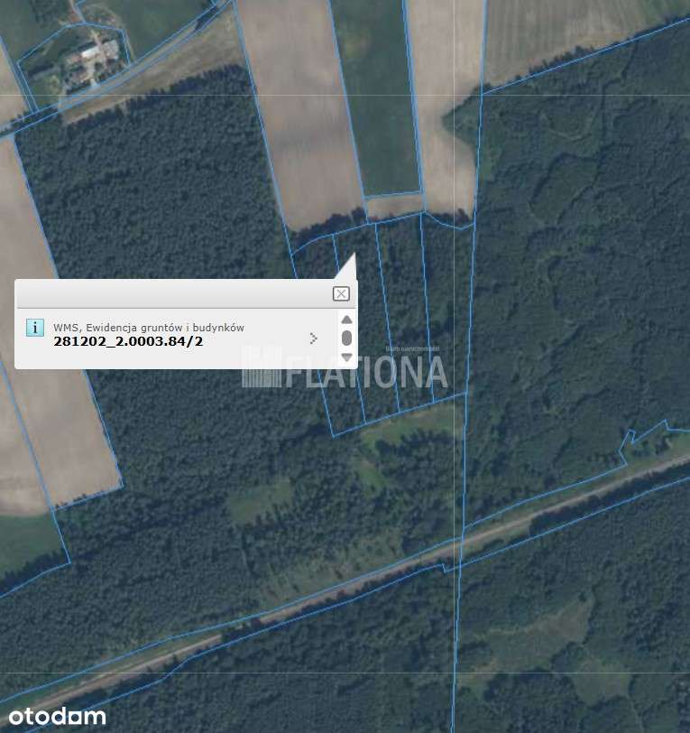 Na sprzedaż dwie działki leśne w Czachówkach - Pełny obrazek: 4/4