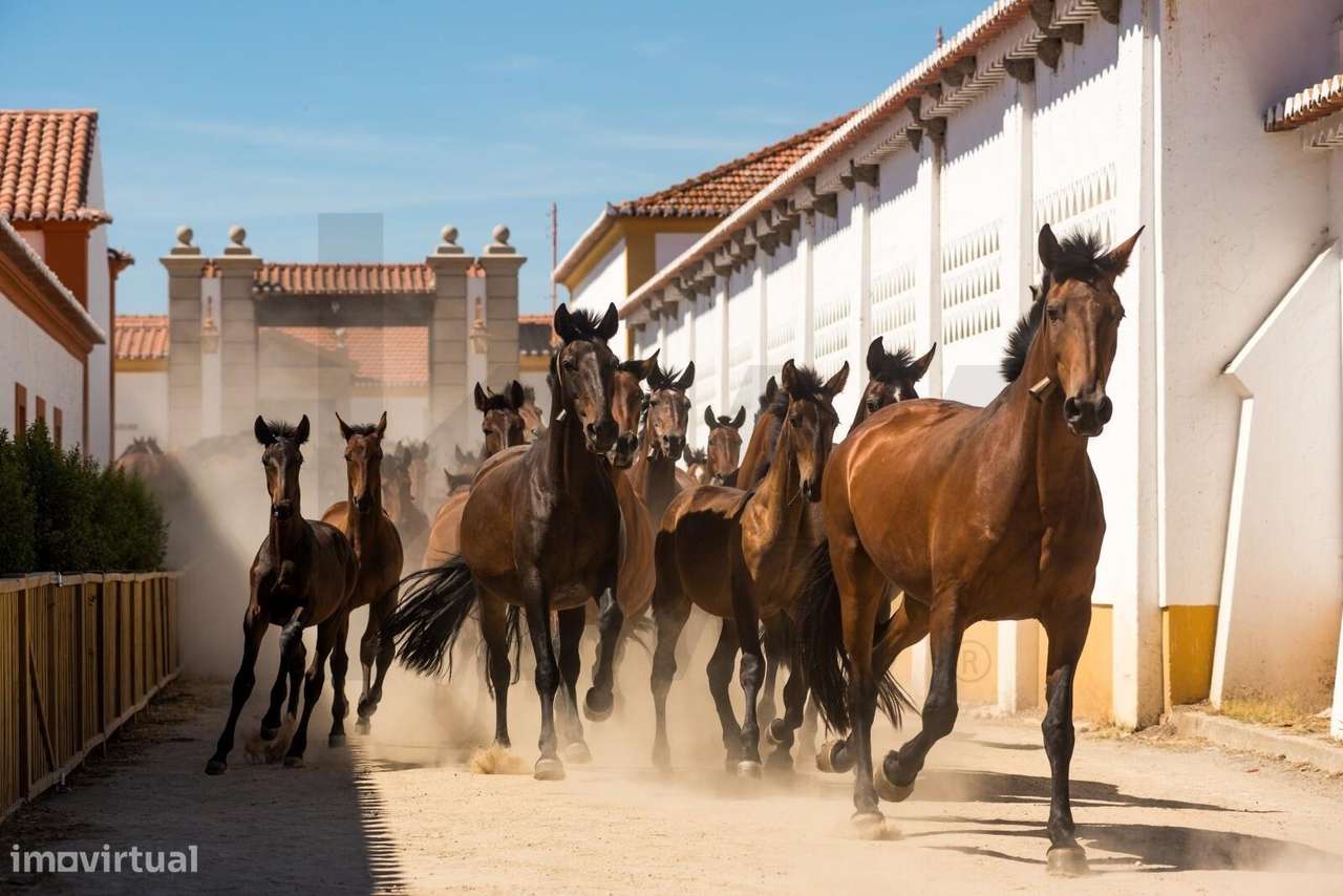 Oportunidade Única: Transforme esta Ruína na Casa dos seus Sonhos no A - Grande imagem: 4/12