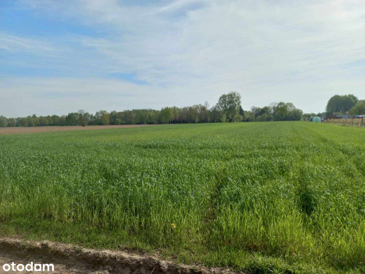 *REZERWACJA*Działka w spokojnej okolicy WZ - Pełny obrazek: 4/5