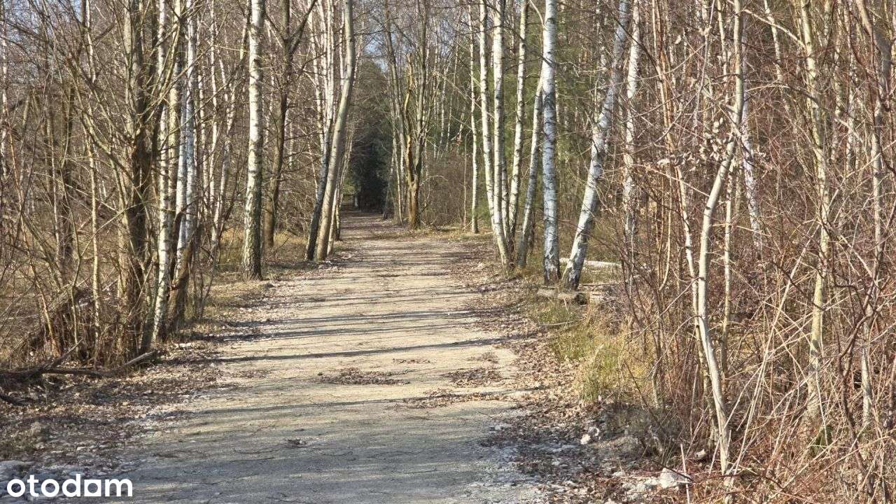 Urokliwa okolica czysty leśny klimat blisko miasta-6