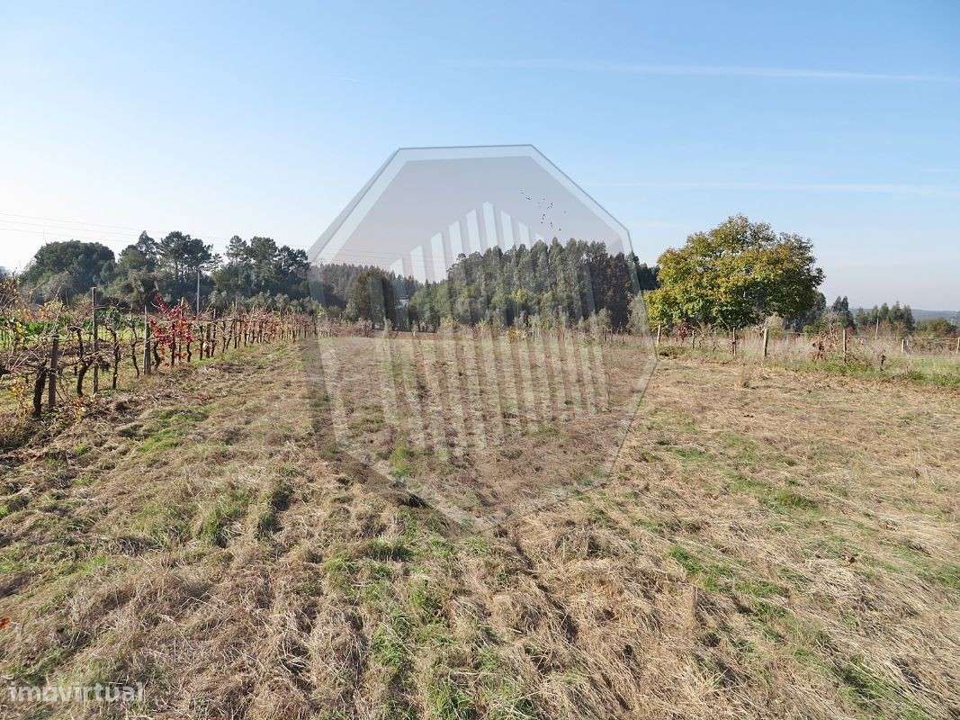 Terreno em Águeda Norte! - Grande imagem: 2/4