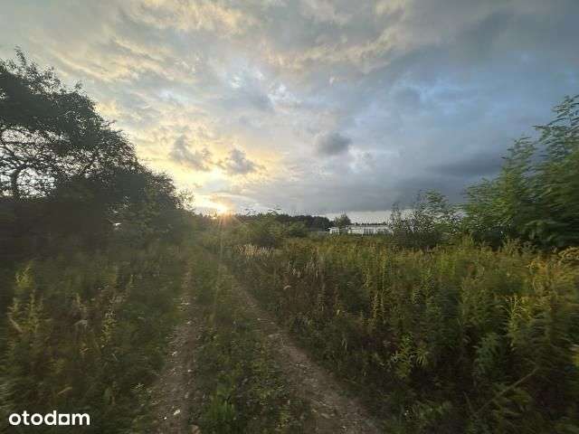 Teren inwestycyjny o szerokim przeznaczeniu-8