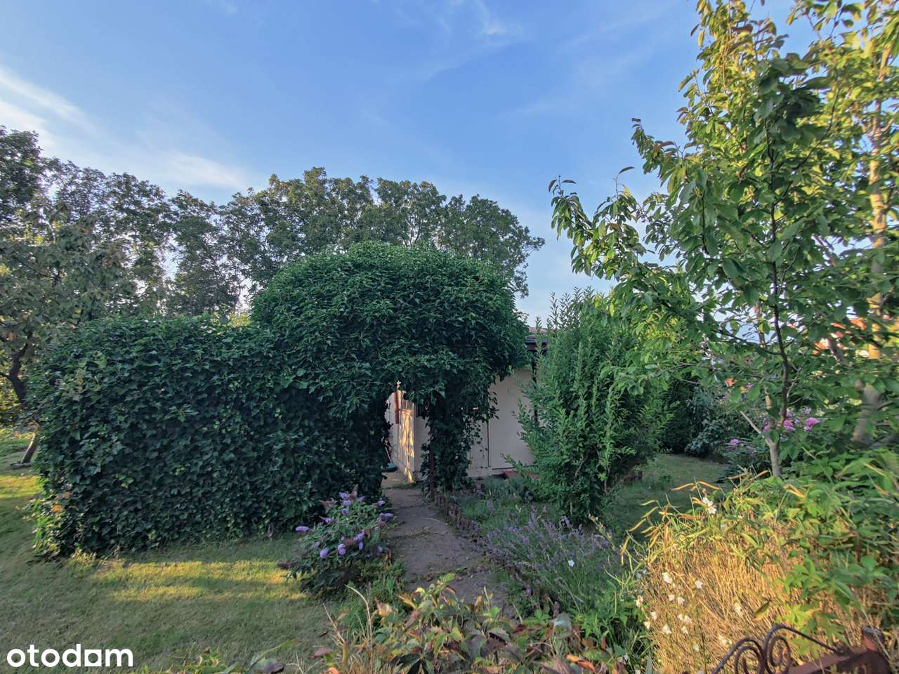 działka ROD „Kwiatkowskiego” w Gdyni – 290 m² z domkiem i nasadzeniami - Pełny obrazek: 5/10