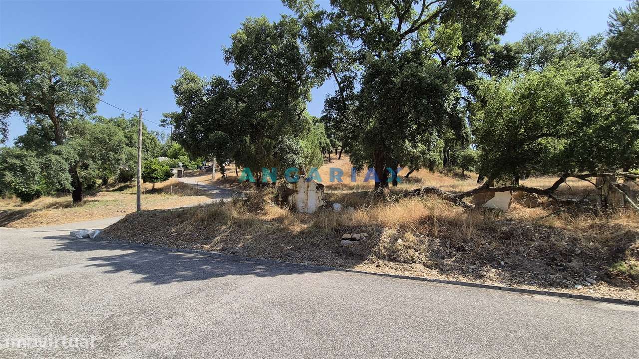 ANG1558 - Terreno para Venda em Bemposta, Abrantes - Grande imagem: 2/16