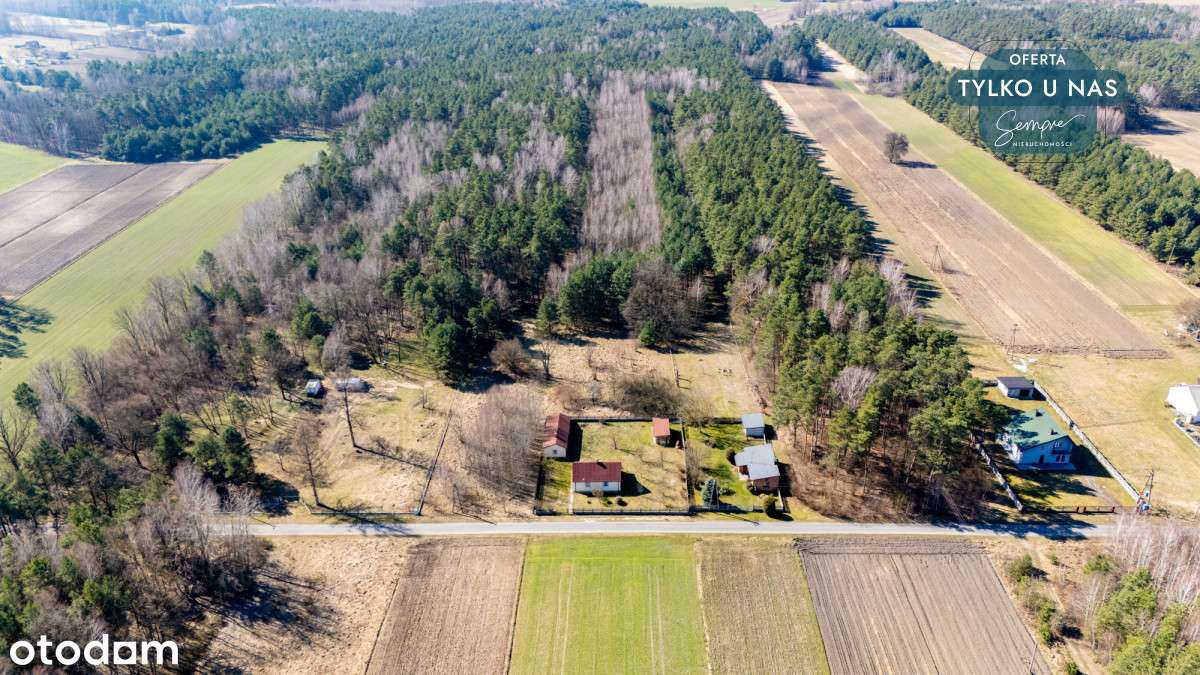 Dom + budynki, działka 1300 mkw, 10 min do Zelowa - Pełny obrazek: 5/14