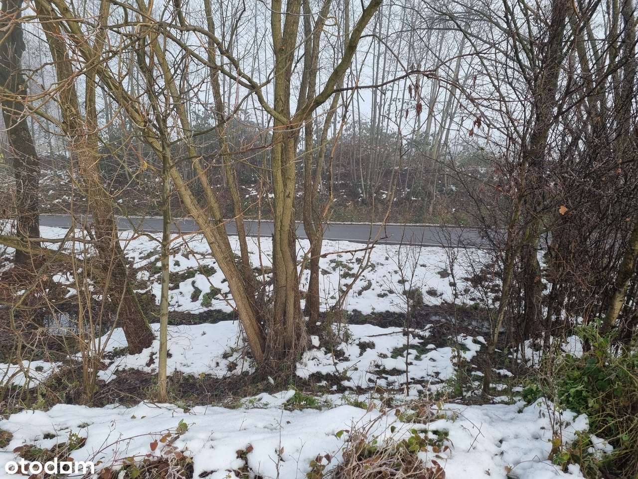 Działka inwestycyjna-4