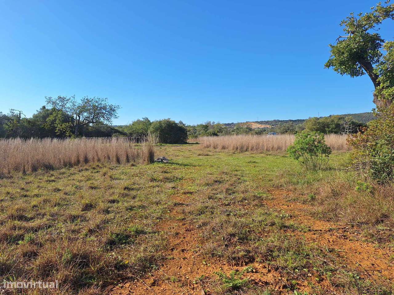 Terreno Rústico no Sítio do Laranjeiro de Santa Catarina da Fonte d...-3
