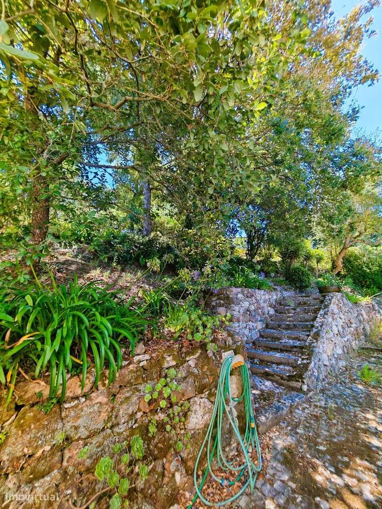 Quinta com muita privacidade, a 11 minutos do centro da Ericeira-45