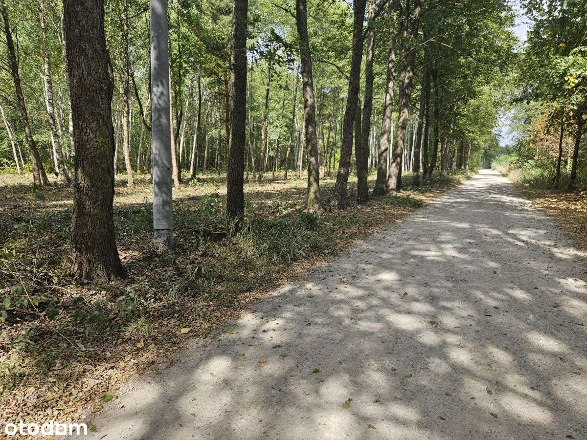 Działki budowlane w otoczeniu drzew-9