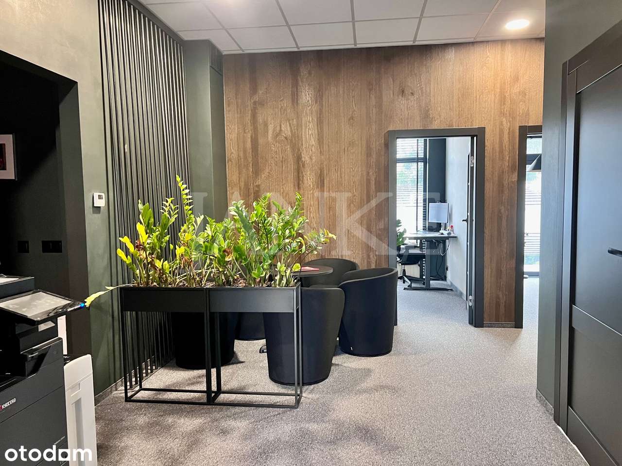 WITRYNA, PARKING, PARTER - centrum - Pełny obrazek: 5/14